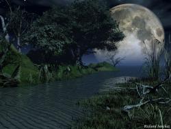 silent night copy